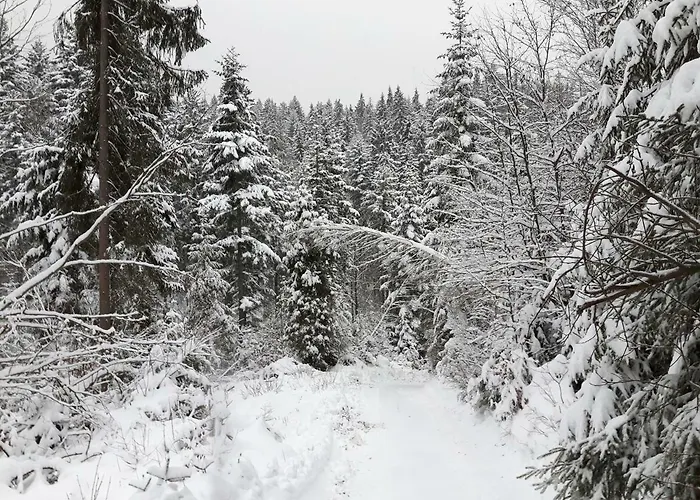 Bacowka W Sercu Gor - Dom Z Bali W Gorcach Villa