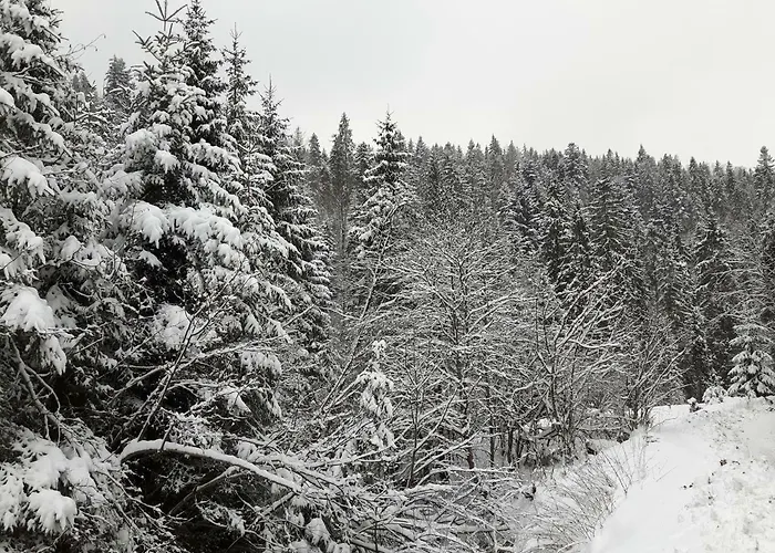 Villa Bacowka W Sercu Gor - Dom Z Bali W Gorcach Łopuszna