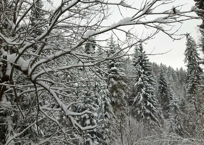 Bacowka W Sercu Gor - Dom Z Bali W Gorcach Villa Łopuszna