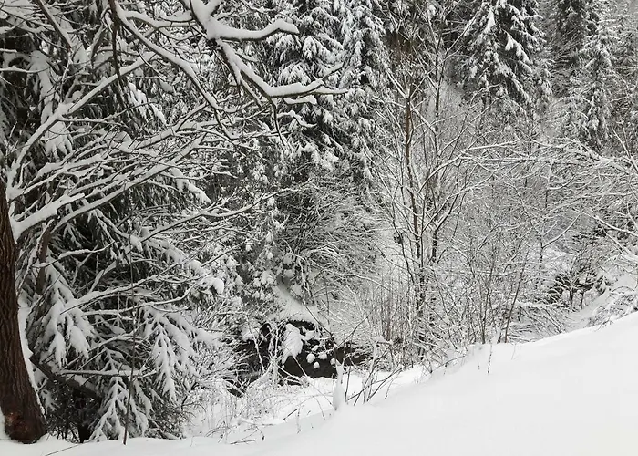 Bacowka W Sercu Gor - Dom Z Bali W Gorcach *