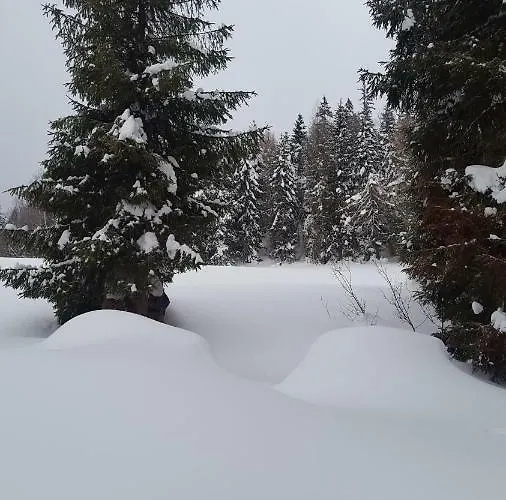 Villa Bacowka W Sercu Gor - Dom Z Bali W Gorcach *