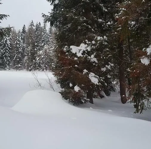 Bacowka W Sercu Gor - Dom Z Bali W Gorcach Villa