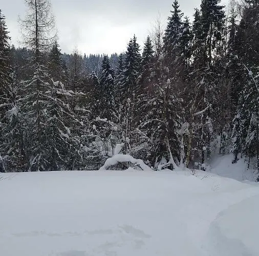 Bacowka W Sercu Gor - Dom Z Bali W Gorcach * Łopuszna