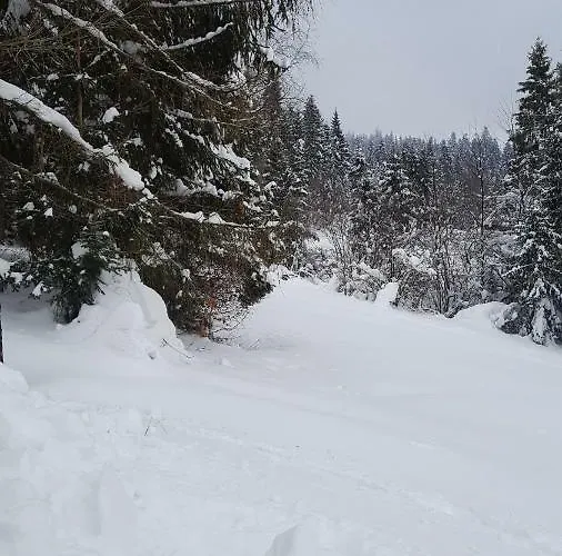 Bacowka W Sercu Gor - Dom Z Bali W Gorcach *