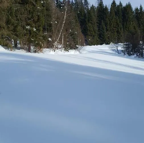 Villa Bacowka W Sercu Gor - Dom Z Bali W Gorcach *